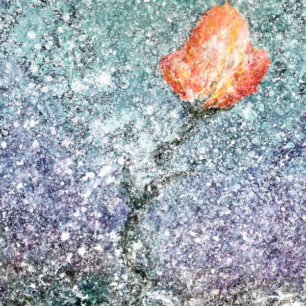 En rose så jeg skyde op 80x120